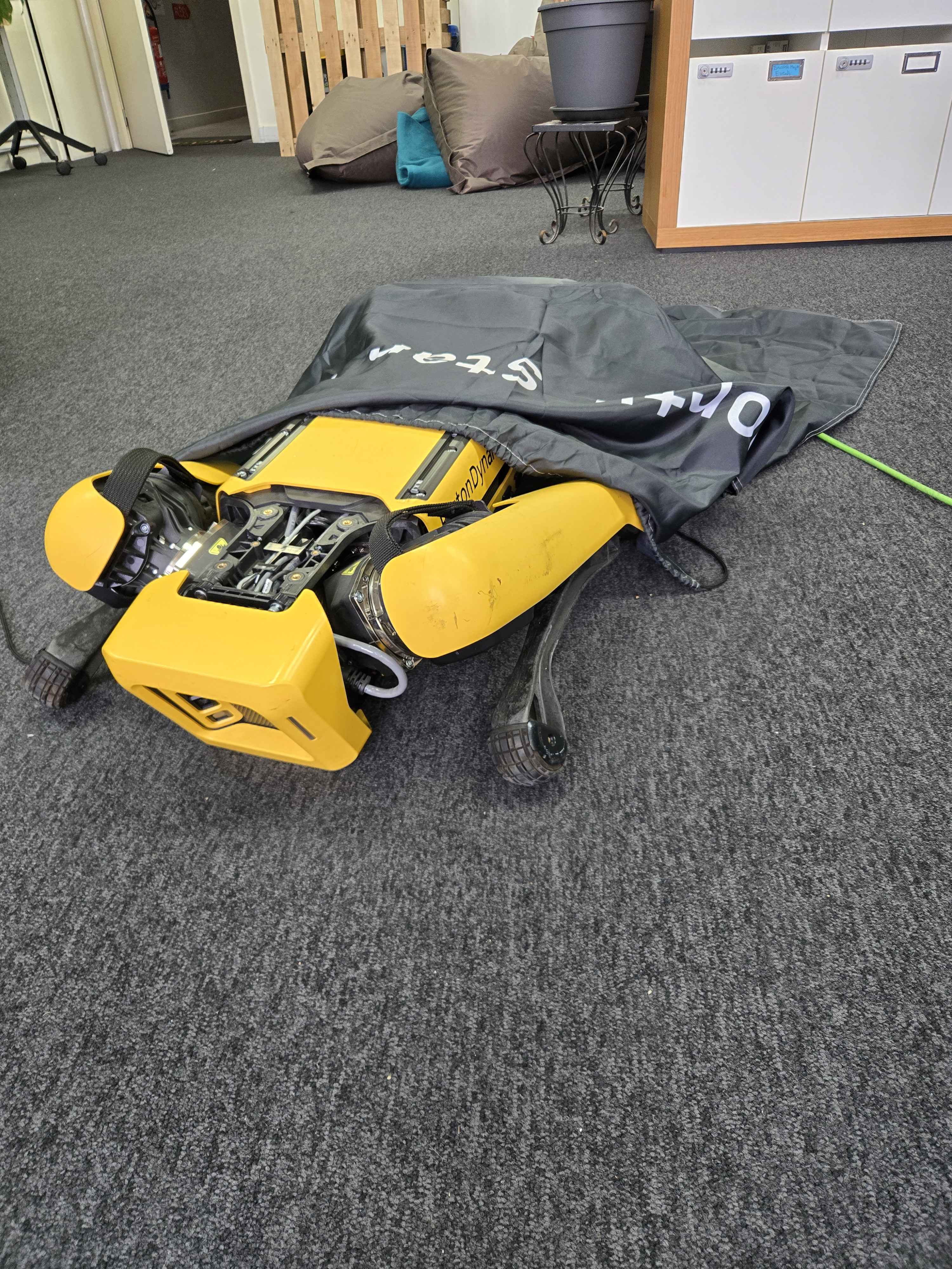 Robot dog